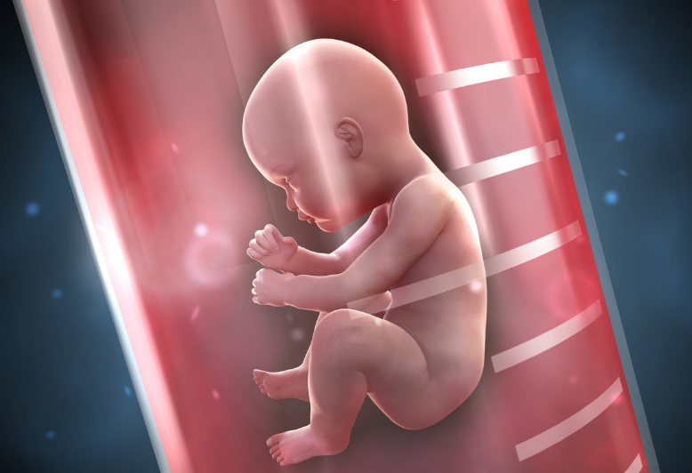 西安治疗试管婴儿最好的医院-在试管婴儿治疗期间，你会得到错误的胚胎吗？