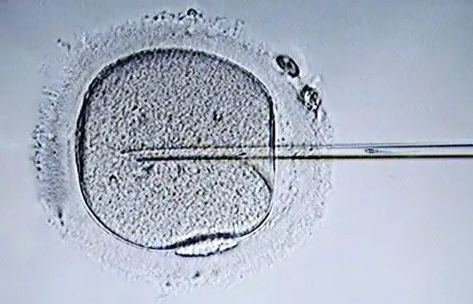 昆明50岁助孕机构：第三代试管婴儿经过基因筛查后的婴儿一定健康吗？