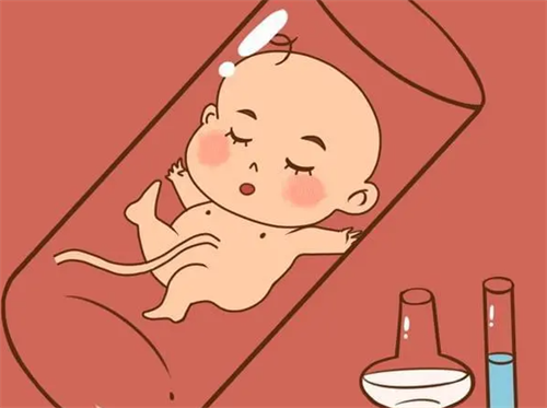 湛江助孕机构多少钱：试管婴儿移植后可以吃狗肉吗？试管婴儿移植成功后可以吃油菜吗？