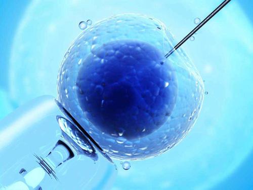 泰州哪里能做供卵-男性伴侣需要做哪些准备来进行泰国试管婴儿胚胎移植？